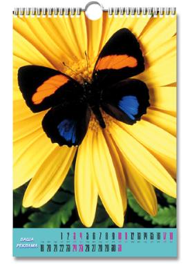 Цифровая печать перекидных настенных календарей